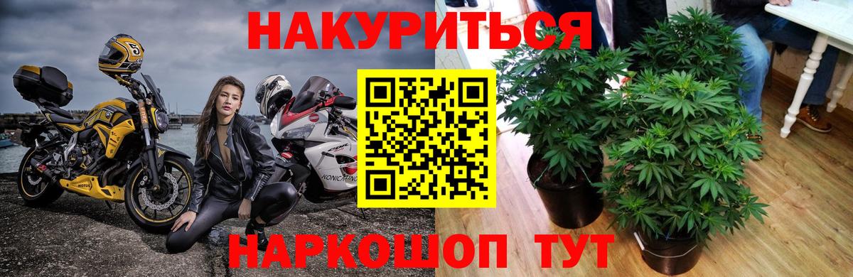 Конопля AK-47  Вход с VPN  Конопля LSD WEED  Всеволожск  МАРИХУАНА план 